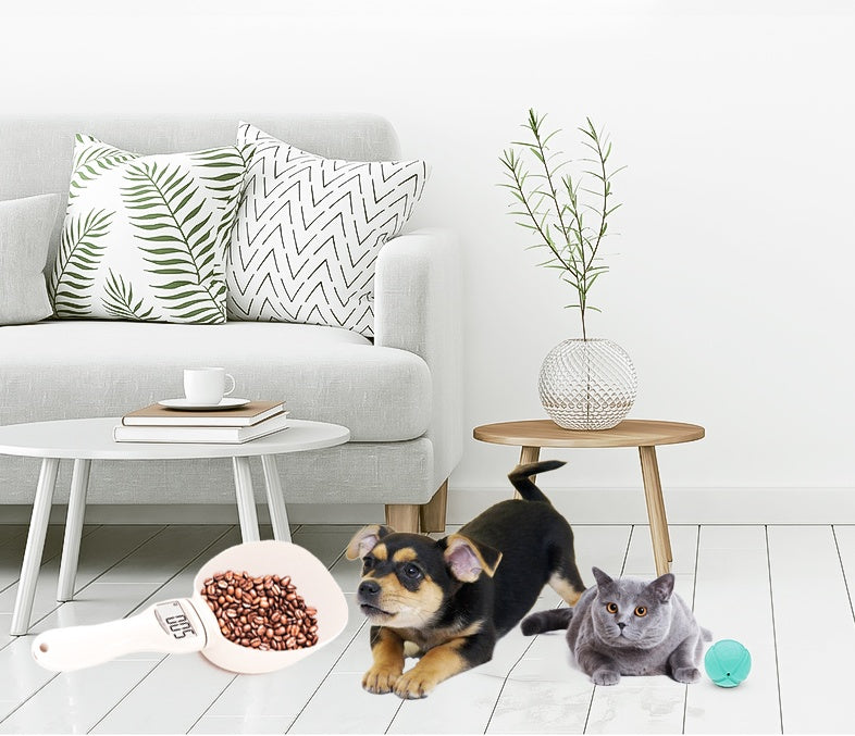Cuillère Balance Électronique pour Aliments pour Animaux – 5 Unités de Mesure & Affichage LCD