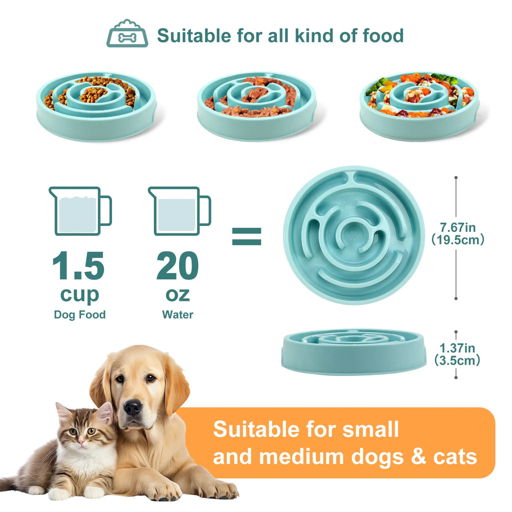 Gamelle anti-glouton - Antidérapante et durable - Convient aux animaux de toutes tailles