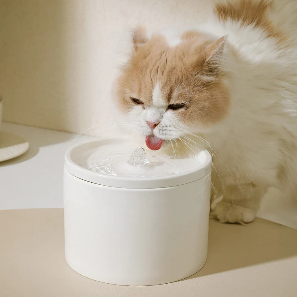Cat Automatic Water Dispenser, Pet Ceramic Bowl, Dog Bowl Water Dispenser, Circulation And Flow Water Dispenser